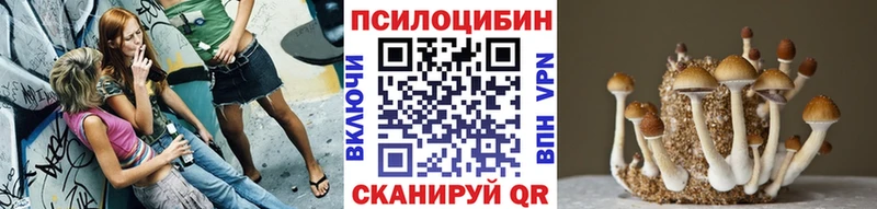 Галлюциногенные грибы Psilocybe  закладка  Кингисепп 
